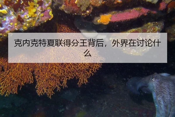 ke-nei-ke-te-xia-lian-de-fen-wang-bei-hou-wai-jie-zai-tao-lun-shen-me-2-503.jpg